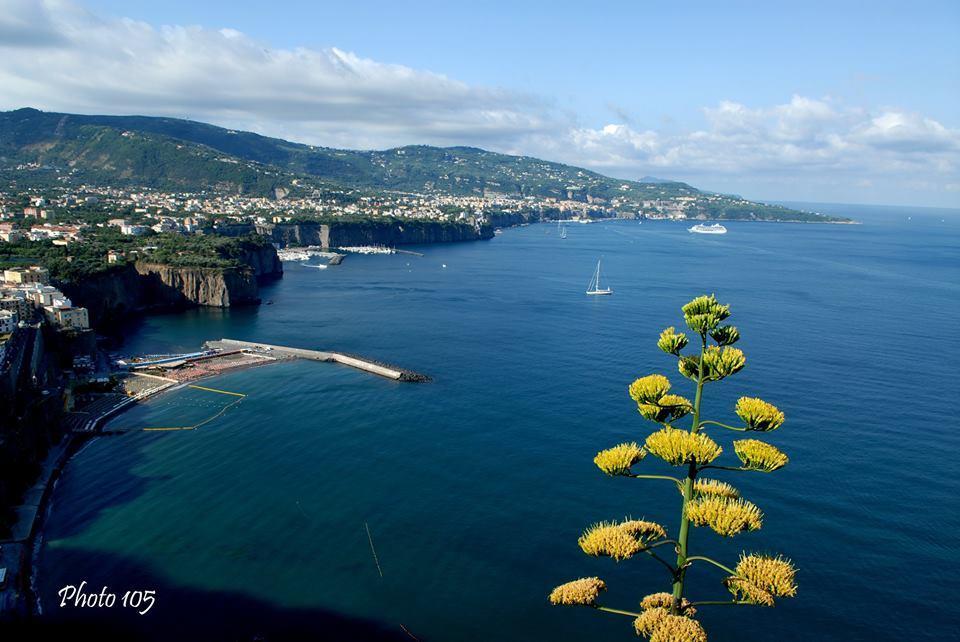 Sorrento Coast Relais Hotell Meta Exteriör bild